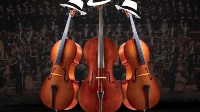 CSO & MFÖ Ankara Konseri